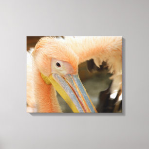 Watching You Pelican Canvas Print キャンバスプリント