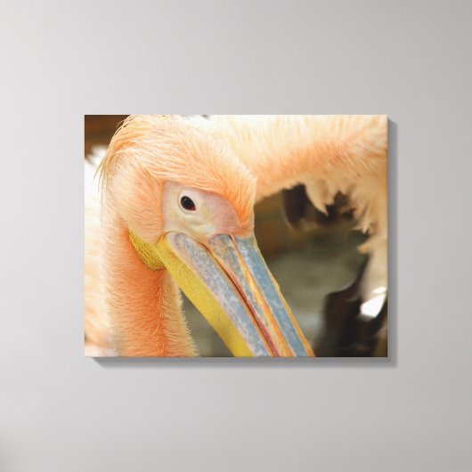 Watching You Pelican Canvas Print キャンバスプリント (正面)