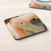 Watching You Pelican Cork Coaster コースター (左側)