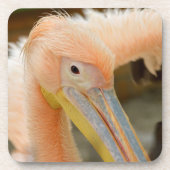 Watching You Pelican Cork Coaster コースター (正面)