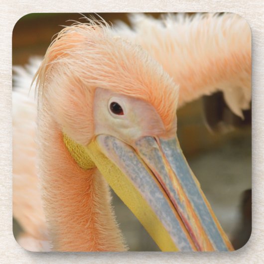 Watching You Pelican Cork Coaster コースター (正面)