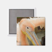 Watching You Pelican Magnet マグネット (正面/裏面)