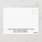 WATER #1はがき ポストカード (裏面)