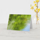 Water Bugs at Laurel Hill State Park カード (黄色い花)