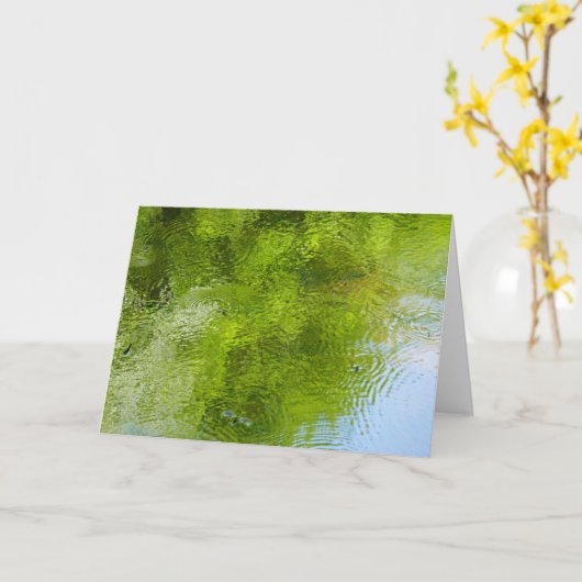 Water Bugs at Laurel Hill State Park カード (黄色い花)