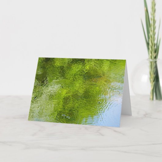 Water Bugs at Laurel Hill State Park カード (正面)