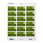 Water Bugs at Laurel Hill State Park ラベル (フルシート)