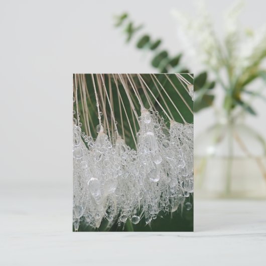 Water droplets ポストカード (スタンド正面)