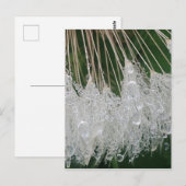 Water droplets ポストカード (正面/裏面)