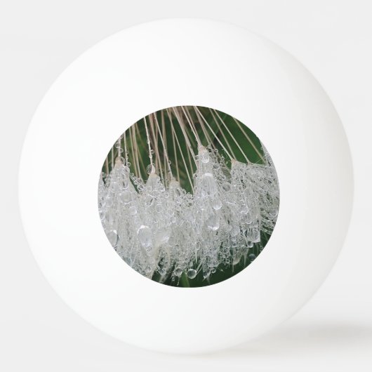 Water droplets 卓球ボール (正面)