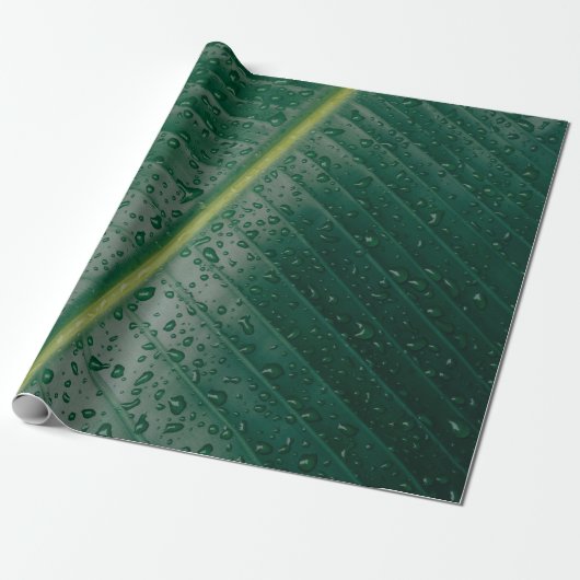 Water droplets on banana leaf ラッピングペーパー (アンロールド)