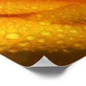 Water Droplets on Elegant Yellow Rose ポスター (角)