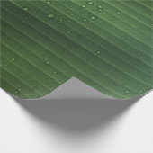 Water droplets on green leaf ラッピングペーパー (角)