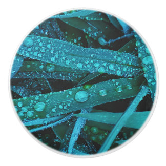 Water Drops Along the Grass セラミックノブ