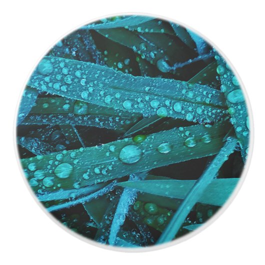 Water Drops Along the Grass セラミックノブ (正面)