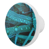 Water Drops Along the Grass セラミックノブ (右)