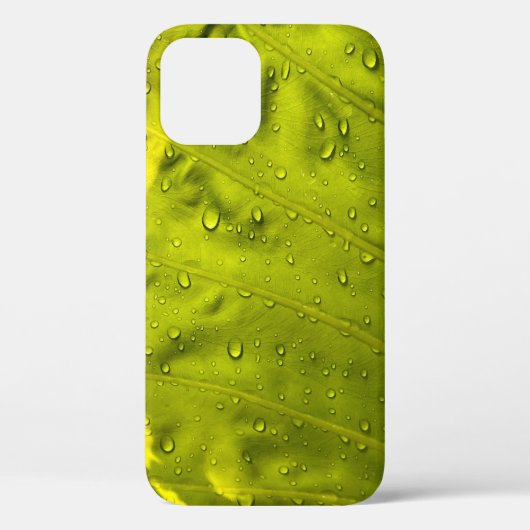 Water drops on green leaf Case-Mate iPhoneケース (裏面)