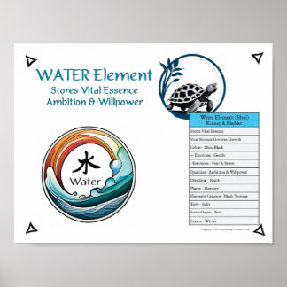 Water Element Acupuncture ポスター