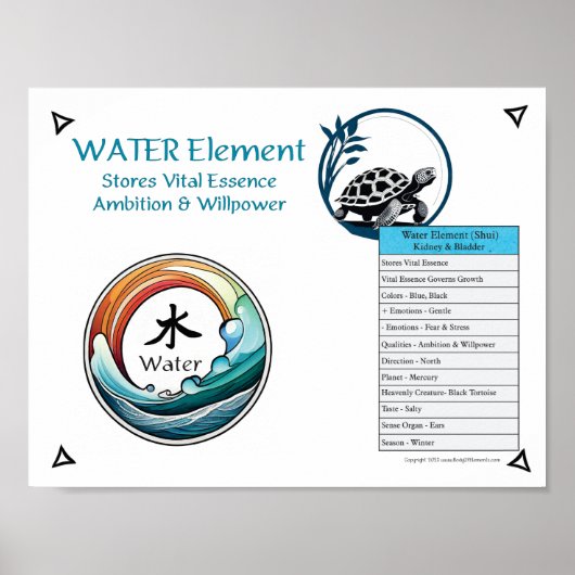 Water Element Acupuncture ポスター (正面)