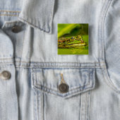 water frog 缶バッジ (インサイチュ)