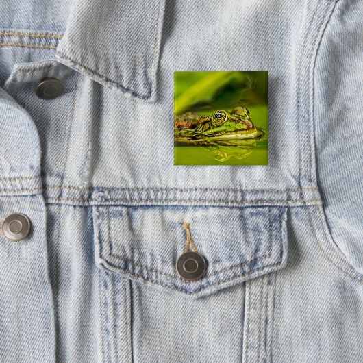 water frog 缶バッジ (インサイチュ)