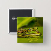 water frog 缶バッジ (正面&裏面)