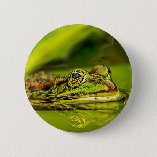 water frog 缶バッジ (正面)