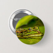 water frog 缶バッジ (正面&裏面)