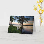 Water | Kraft Azalea Park Maitland Florida カード (黄色い花)