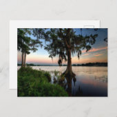 Water | Kraft Azalea Park Maitland Florida ポストカード (正面/裏面)