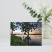 Water | Kraft Azalea Park Maitland Florida ポストカード (スタンド正面)