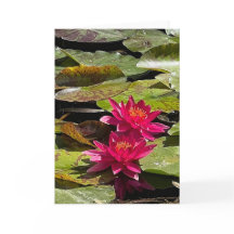 Water Lilies Blank Note Card