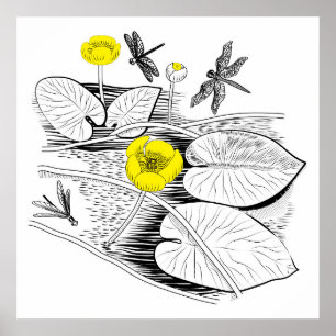 Water-lilies engraving ポスター