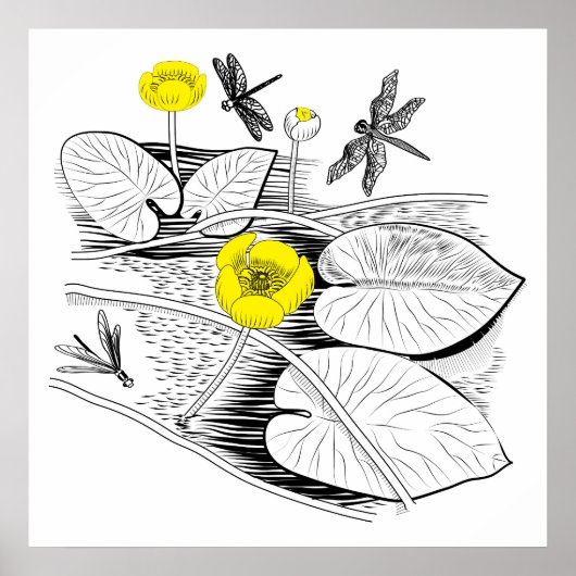 Water-lilies engraving ポスター (正面)