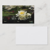 Water Lilyプロファイルカード 名刺 (正面/裏面)