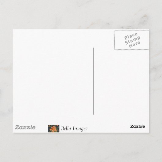 Water Lily – はがき (裏面)