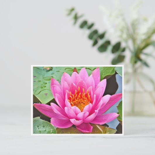 Water Lily ポストカード (スタンド正面)