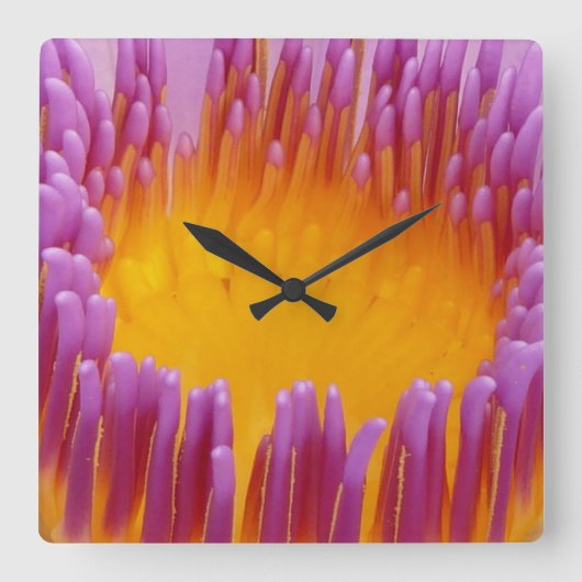 Water Lily 1 Wall Clocks & Numeralオプション スクエア壁時計 (正面)