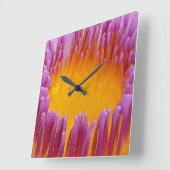 Water Lily 1 Wall Clocks & Numeralオプション スクエア壁時計 (傾斜)