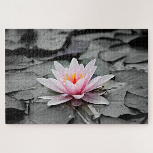 Water Lily Aquatic Plant Jigsaw Puzzle ジグソーパズル (横)