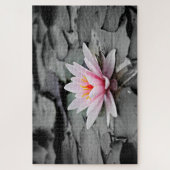Water Lily Aquatic Plant Jigsaw Puzzle ジグソーパズル (縦)