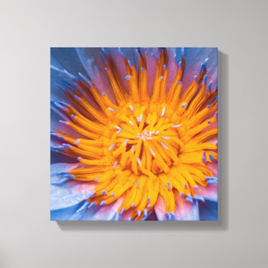 Water Lily Centered キャンバスプリント (正面)