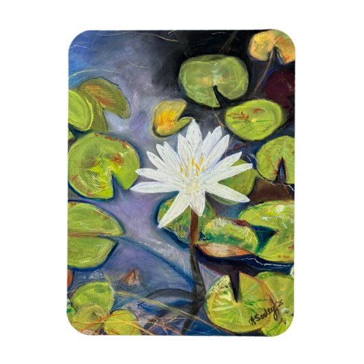 Water Lily in Bloom Magnet マグネット (縦)