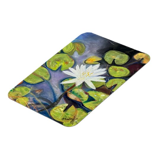 Water Lily in Bloom Magnet マグネット (左側)