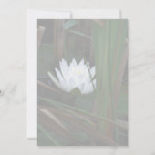 Water Lily Lotus Blossom Floral Invitation 招待状 (裏面)