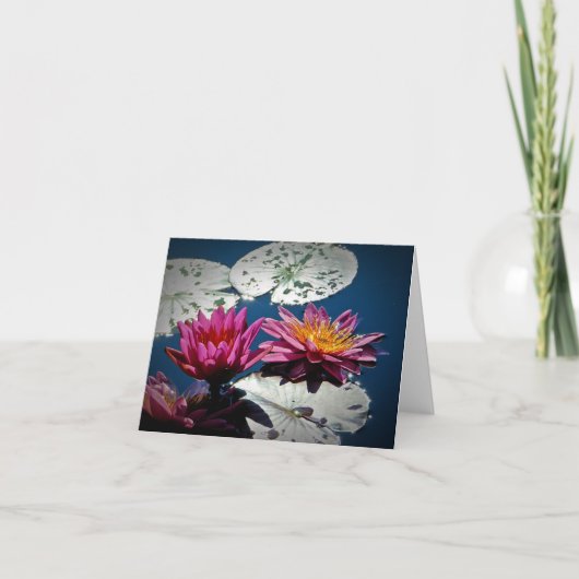 Water Lily NoteCard (空白の) カード (正面)