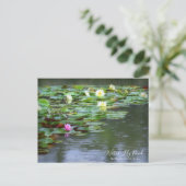 Water-Lily Pond :Postcard ポストカード (スタンド正面)