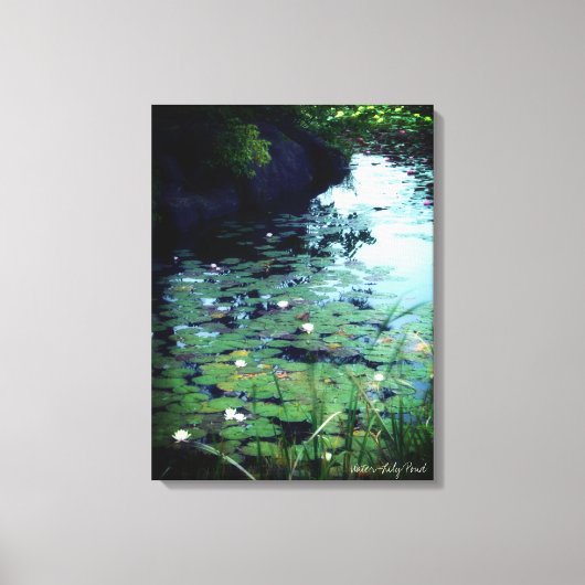 Water Lily Pond：Premium Canvas キャンバスプリント (正面)