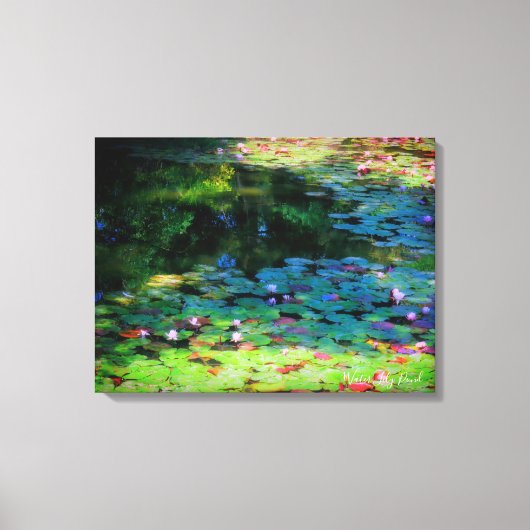 Water Lily Pond：Premium Canvas キャンバスプリント (正面)