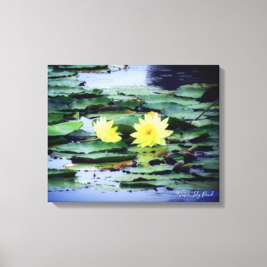 Water Lily Pond：Premium Canvas キャンバスプリント (正面)